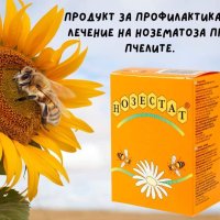 Нозестат разтвор за лечение и профилактика на нозематоза при пчелите, снимка 1 - Други стоки за животни - 25161519