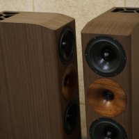 SLAudio SVS TL, снимка 11 - Тонколони - 41762944