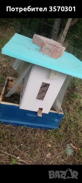 пчелни отводки , снимка 1