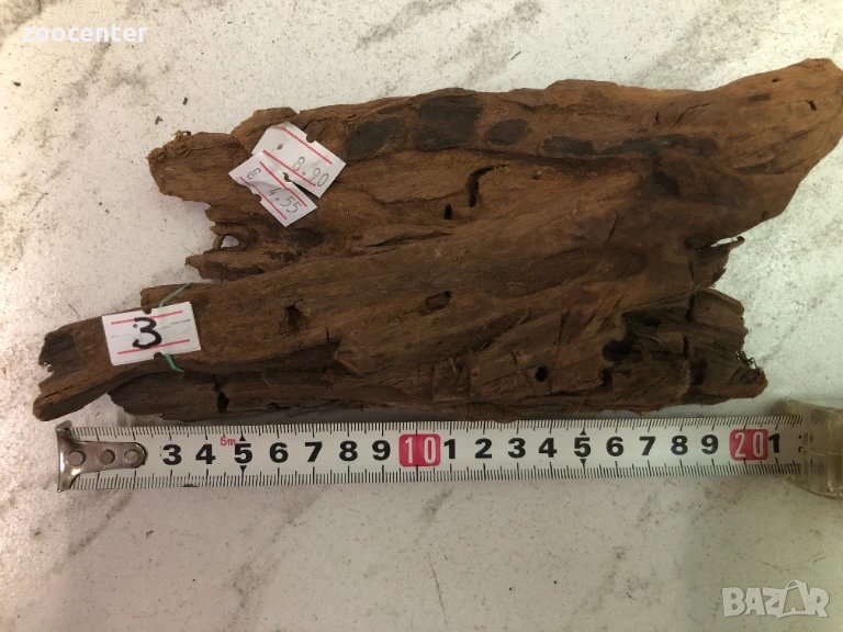 Мангров корен, снимка 1