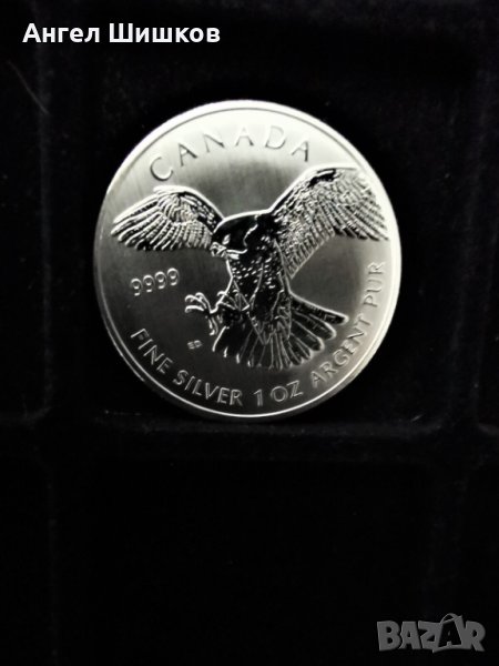 Сребърна монета 5 Dollars Elizabeth II Peregrine Falcon Canada Birds of Prey 2014 9999, снимка 1
