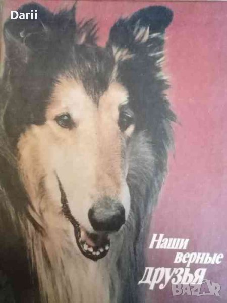 Наши верные друзья- В. Г. Гусев, В. С. Нехаев, снимка 1