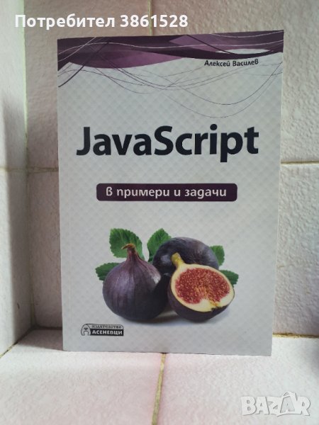 JavaScript в примери и задачи, снимка 1