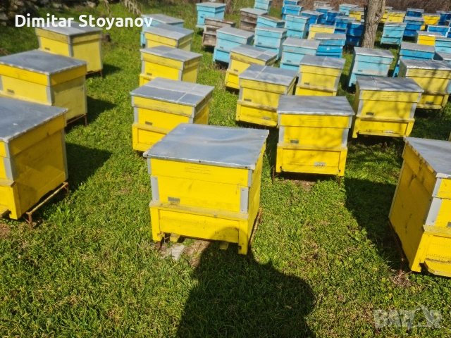 Продавам пчелни кошери Дадан-Блат 12 рамкови