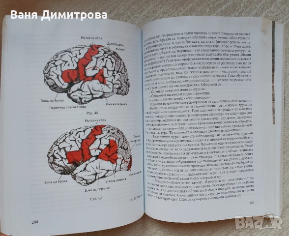 Основи на неврологията , снимка 17 - Специализирана литература - 50594996