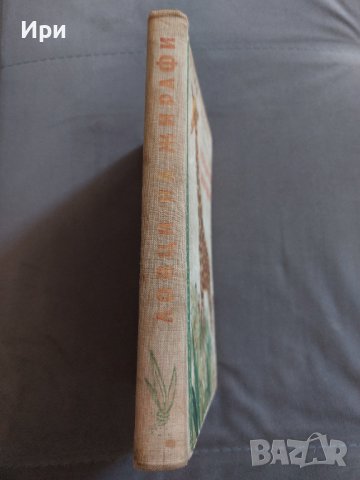 Ловци на жирафи, снимка 3 - Детски книжки - 41979743