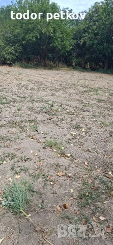 Дворно място в село Манолско Конаре , снимка 8 - Парцели - 56149259