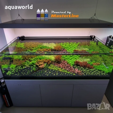 "ПРОМОЦИЯ" MasterLine Carbo Допълнителен източник на органичен въглерод 1000 ml