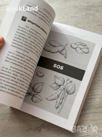 Наръчник на градинаря – Илиян Бельов , снимка 15 - Други - 53257631