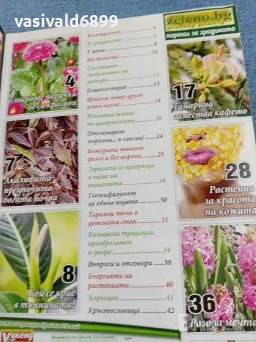 Списание "Уикенд за градината" 16÷29.5/2012 , снимка 5 - Списания и комикси - 56367552