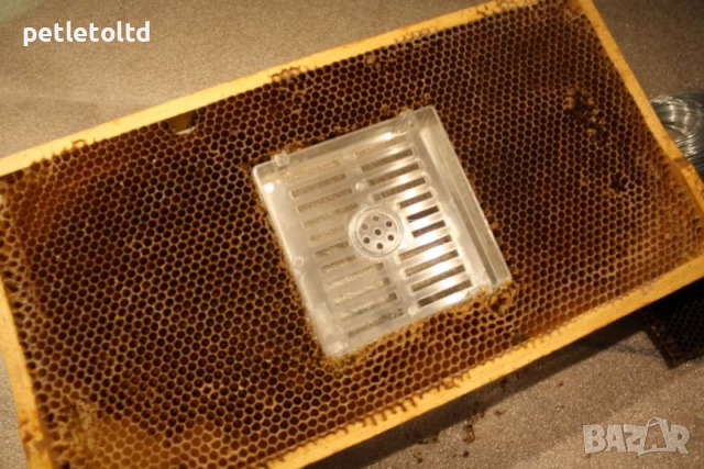 Jenter VarroaSTOP - 2 Stück Арт.№ 501 Karl Jenter, снимка 2 - Други стоки за животни - 36358111