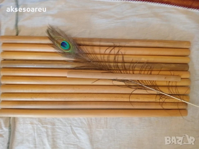 Качествени Семена от бамбук Bambusa arundinacea бързо растящи бамбукови растения за украса на дома, снимка 8 - Сортови семена и луковици - 50483666