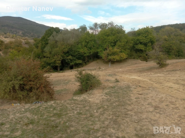 Продавам нива, с. Змейово, област Стара Загора, снимка 10 - Земеделска земя - 52054903