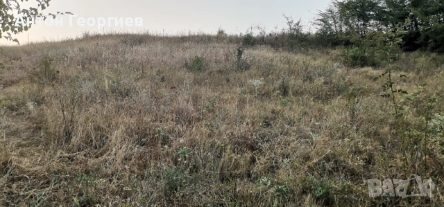 Продавам земеделска земя , снимка 3 - Земеделска земя - 53484515