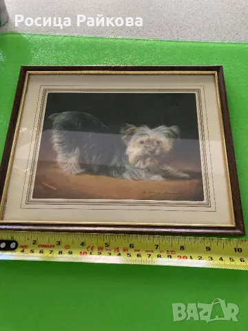 Картина с кученце, снимка 3 - Картини - 50021907