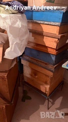 2 броя пчелни семейства и инвентар, снимка 5 - За пчели - 53749387