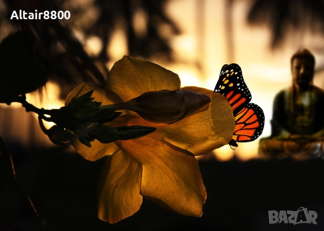 Tamron 18-270mm f/3.5-6.3 Di II VC PZD EF-S обектив Канон, снимка 10 - Обективи и филтри - 52517996