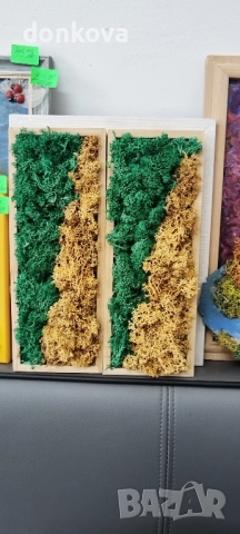 декорации ръчно изработени от жив скандинавски мъх и сапунени рози., снимка 15 - Декорация за дома - 52206005