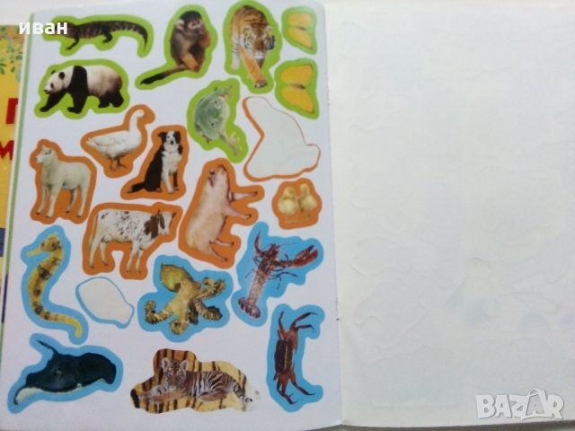 Детски книжки със стикери, снимка 5 - Детски книжки - 35967209
