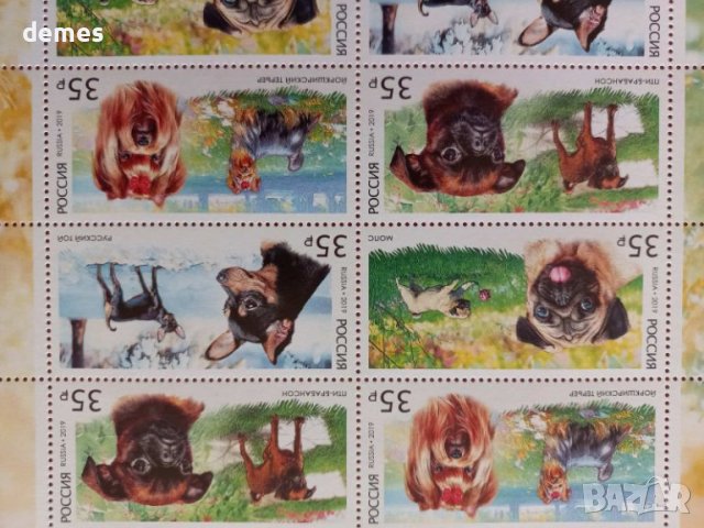 Блок марки Декоративни породи кучета, 2019, минт, снимка 4 - Филателия - 42160815