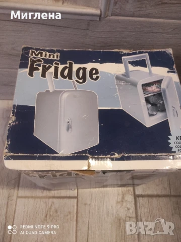 Мини хладилник на 12 и 200 волта, снимка 3 - Хладилни чанти - 48644292