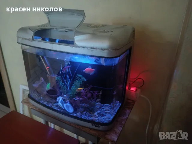 Самоподдържащ се Аквариум и принадлежности, снимка 2 - Аквариуми - 48918389