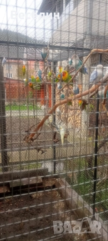 Продавам неразделки