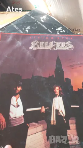  Грамофонни плочи 500+, снимка 12 - Грамофонни плочи - 49094173