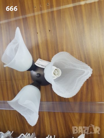 Полилей, снимка 3 - Полилеи - 41988263