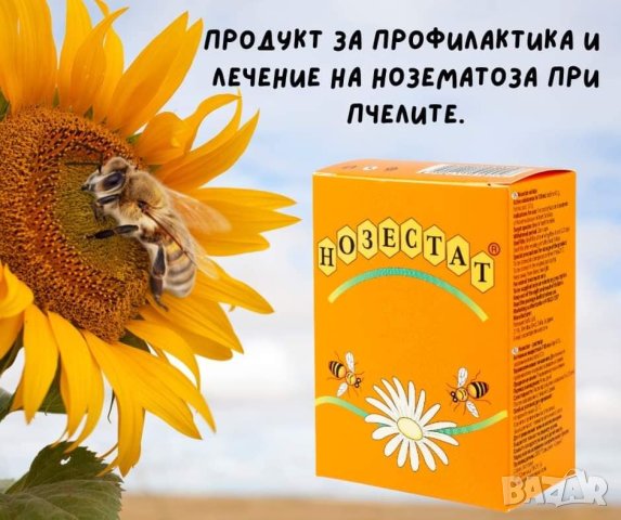 Нозестат разтвор срещу нозематоза при пчелите, снимка 3 - Други стоки за животни - 22716116