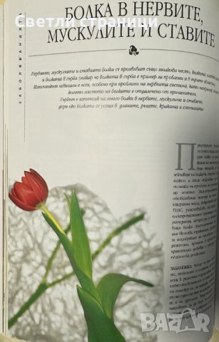 Болката - овладяване с природни средства: Пълно ръководство за самопомощ Безопасни и ефективни лечеб, снимка 3 - Специализирана литература - 44339457