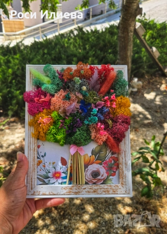 Различни цветни картини букети декорирани с естествен скандинавски мъх, снимка 3 - Картини - 51521872