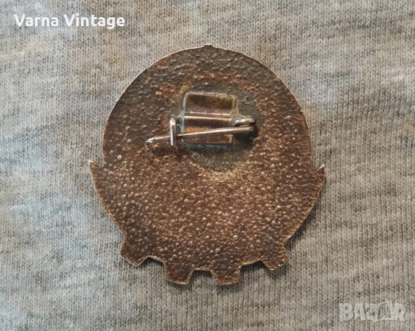 Знак Отличник на физкултурна работа на БСФС. емайл., снимка 2 - Колекции - 51720633