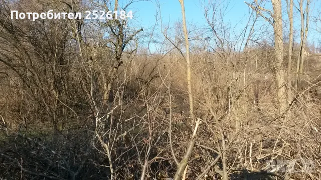 Парцел 1042 м2 село Щипско продава, снимка 3 - Парцели - 55789979
