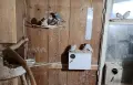 Продавам ято оризарки, снимка 2