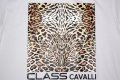 Cavalli CLass - мъжки тениски, размери M , L , XL, снимка 2