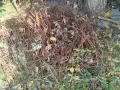 Арматура, арматурни заготовки , снимка 6