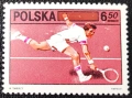 Полша, 1981 г., I лот - марки на теми личности, изкуство, балони, архитектура, лов, животни, тенис, снимка 11