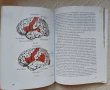 Основи на неврологията , снимка 17