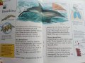 Детска енциклопедия "Animals -my first reference library" - 1994г., снимка 5