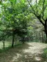 Парцел 530 кв.м сред борова гора, на 25 км от Боровец и 40 км от София, снимка 5