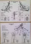 Германска артилерия ВСВ - сборник с чертежи и описания, снимка 4