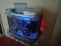 Самоподдържащ се Аквариум и принадлежности, снимка 2