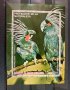 1710. Екв. Гвинея 1974 = “ Фауна. Птици от Южна Америка и Австралия. Папагали I . “