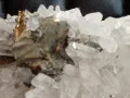 №169, Кварц, Кварцова друза с халкопирит, Планински кристал, Кристали,Минерали,Родопи,, снимка 4