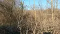 Парцел 1042 м2 село Щипско продава, снимка 3