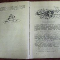 1954г. Детска Книжка Братя Грим- Най-хубавите приказки, снимка 3 - Детски книжки - 42340670