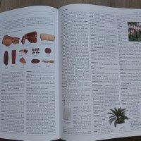 Речник Oxford с илюстрации на английски език , снимка 2 - Чуждоезиково обучение, речници - 41210595