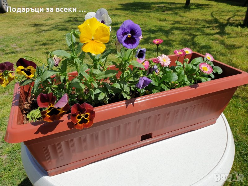 Пластмасово сандъче за цветя!САНДЪК 50 см за цветя! ПРОМОЦИЯ: 5 сандъка+5 подложки само за 19.90, снимка 1