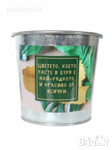 СЕТ весели кашпи за градината (микс от 9 бр), снимка 3 - Вази - 39841528